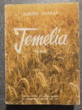 Eusebiu Camilar - Temelia (ilustrații: Marcela Cordescu)