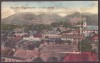 3901 - BAIA-MARE, Panorama, Leporello - old postcard + 10 photocards - used 1910, Circulata, Printata