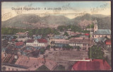 3901 - BAIA-MARE, Panorama, Leporello - old postcard + 10 photocards - used 1910, Circulata, Printata