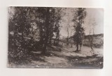 RF176 - Carte Postala - Muzeul de arta al RPR. N. Grigorescu - Luminis de padure, necirculata