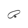 Kit distributie RENAULT CLIO II BB0 1 2 CB0 1 2 DAYCO KTB259