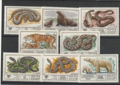 Fauna,serpi,tigru,urs ,URSS . foto
