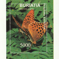 Buriatia -Fauna,Insecte,Fluturi,colita dantelata,nestampilata