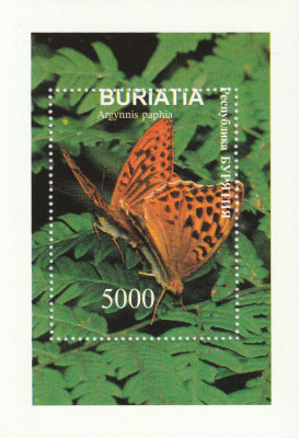 Buriatia -Fauna,Insecte,Fluturi,colita dantelata,nestampilata foto