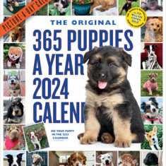 365 Puppies-A-Year Picture-A-Day Wall Calendar 2024