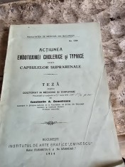 Actiunea Endotoxinei Cholerice si Typhice asupra Capsulelor Suprarenale. Teza pentru Doctorat in medicina si chirurgie - Constantin A. Demetrescu