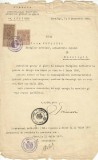 A4309N Numire &icirc;nvățător definitiv la Școala primară de băieți Siret, 1920, Cernăuți