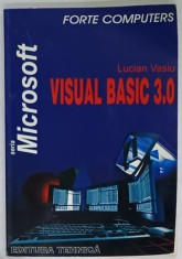 VISUAL BASIC 3.0 de LUCIAN VASIU , 1996, PREZINTA URME DE UZURA SI DE INDOIRE
