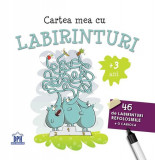 Cartea mea cu labirinturi - Paperback - *** - Didactica Publishing House