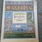 The frog priness, russian tale in englishwith colourful pictures by Bilibin