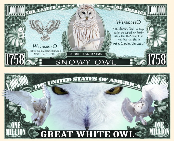 !!! SUA = FANTASY NOTE (TJ6) = BUFNITA DE ZAPADA - 2014 - UNC