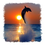 Sticker decorativ Delfin, Albastru, 55 cm, 11544ST