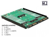 Convertor 3.5&quot; 2 x SATA 22 pini la Dualport 2 x M.2 / 2 x mSATA, Delock 62946