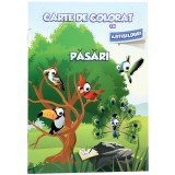 Carte de colorat cu abtibilduri - Pasari |