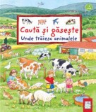 Cauta si gaseste. Unde traiesc animalele, Casa