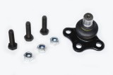Pivot Suspensie 48356 FDR.698