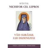 Văd sur&acirc;sul lui Dumnezeu - Paperback brosat - Sf&acirc;ntul Nichifor cel Lepros - Sophia
