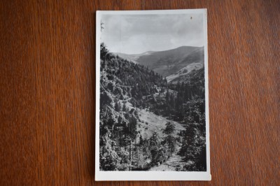 CP Vurpar Alba Borberek unoko foto