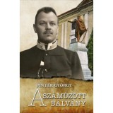 A sz&aacute;műz&ouml;tt b&aacute;lv&aacute;ny - Pint&eacute;r Gy&ouml;rgy