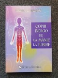 COPII INDIGO DE LA MANIE LA IUBIRE - Dianne Lancaster