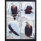 BANGLADESH 2018 FAUNA PASARI DE PRADA