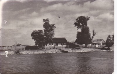 AMS - ILUSTRATA 1235, CASE PESCARESTI IN DELTA DUNARII LA CRISAN, ANUL 1958, cu perforari foto