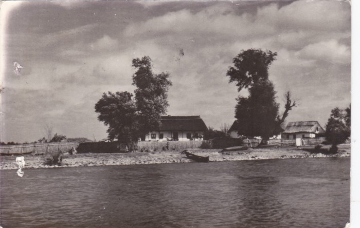AMS - ILUSTRATA 1235, CASE PESCARESTI IN DELTA DUNARII LA CRISAN, ANUL 1958, cu perforari