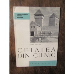 Cetatea din C&icirc;lnic - Radu Heitel
