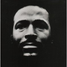CD Marvin Gaye &ndash; Vulnerable (VG+)