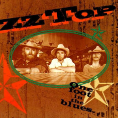 ZZ Top One Foot In The Blues Best Of (cd)