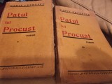 Camil Petrescu - Patul lui Procust Vol. I si II