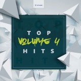 Various Artists Top Hits Vol. 4 (cd)