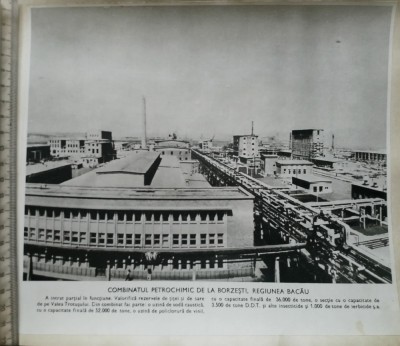 Fotografie Combinatul Petrochimic de la Borzești, Regiunea Bacău foto