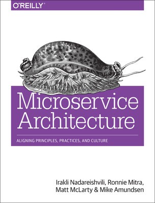Microservice Architecture: Aligning Principles, Practices, and Culture foto