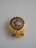 QW9 L 21 - Insigna - tematica comunism - merite deosebite intrecerea socialista, Romania de la 1950