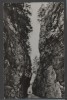 CPI B 11768 CARTE POSTALA - IN CHEILE DAMBOVICIOAREI, Circulata, Fotografie