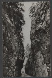 CPI B 11768 CARTE POSTALA - IN CHEILE DAMBOVICIOAREI