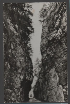 CPI B 11768 CARTE POSTALA - IN CHEILE DAMBOVICIOAREI foto