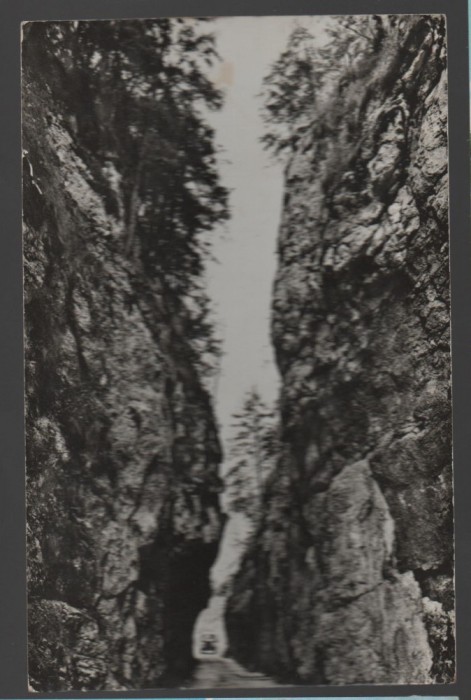 CPI B 11768 CARTE POSTALA - IN CHEILE DAMBOVICIOAREI