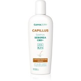 Cannaderm Capillus Seborea CBD+ Shampoo șampon anti matreata 150 ml