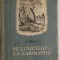 I. Brali - Se lumineaza la Zabolotie (Editura Cartea Rusa)