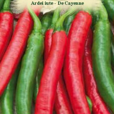 ARDEI IUTE DE CAYENNE, 1g