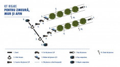 Kit irigare pentru cultura zmeur, mur ?i afin foto