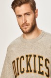 Dickies - Bluza