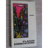 PLAIURI DAMBOVITENE. GHID-DORIN IANCU-235579
