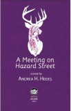 A Meeting on Hazard Street - Andrea H. Hedes