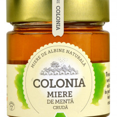 Miere de menta cruda, 270g, Colonia