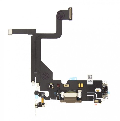 Flex incarcare iPhone 13 Pro, Gold foto