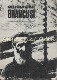 Omagiu Lui Brancusi - Centenar Brancusi 1976 Tribuna - Dumitru Radu Popescu