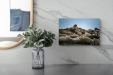 Tablou Canvas, "&Icirc;n &icirc;mpărăția morsei somnoroase", Nu pot să identific persoane &icirc;n imagini, dar pot să &icirc;ți spun despre animalele din fotografie: sunt mo